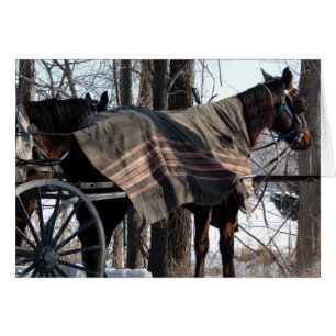 Cartão Cavalos De Amish Esperando No Inverno
