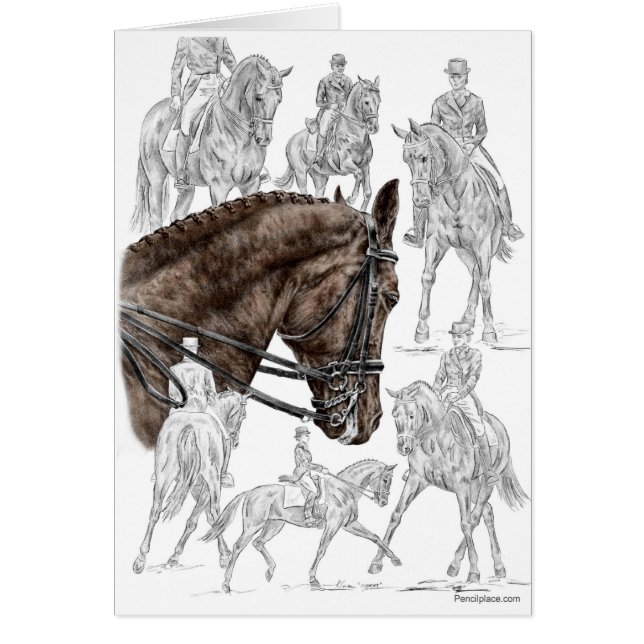 Cartão Cavalos de Dressagem Coletados FEI (Frente)