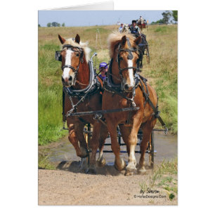 Cartão Cavalos de esboço belgas