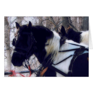 Cartão Cavalos de esboço do Pinto