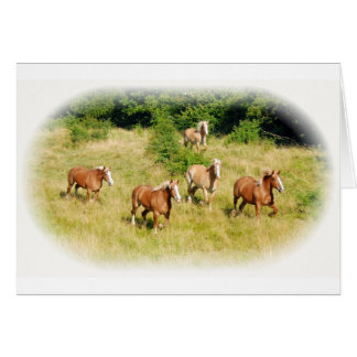 Cartão Cavalos de esboço no campo