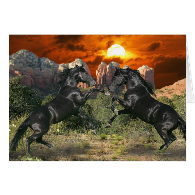 Cartão Cavalos de Fantasia: Magia Negra (Frente Horizontal)