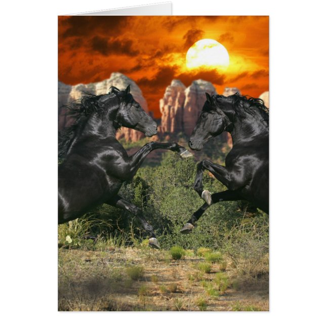 Cartão Cavalos de Fantasia: Magia Negra (Frente)