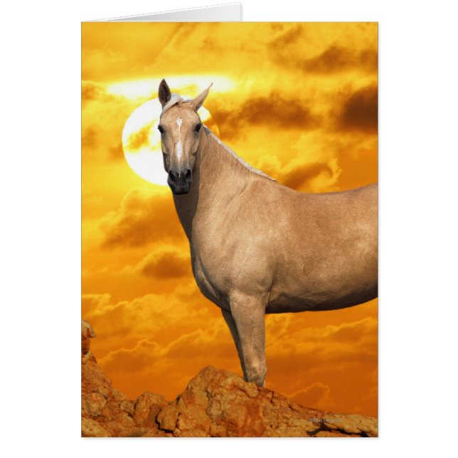 Cartão Cavalos de Fantasia: Montanha (Frente)