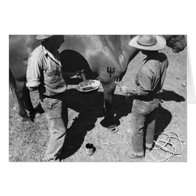 Cartão Cavalos de marcagem com ferro quente com a marca (Frente Horizontal)