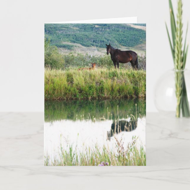 Cartão Cavalos de Montana (Frente)