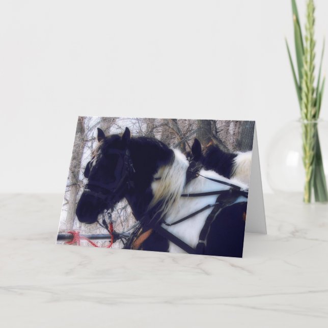 Cartão Cavalos de Pinto Rascunho, Dia de os pais (Frente)