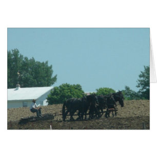 Cartão Cavalos de trabalho
