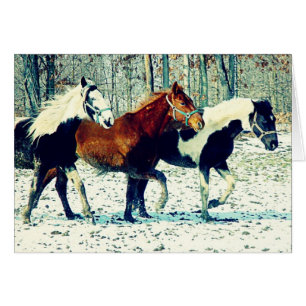 Cartão Cavalos do inverno