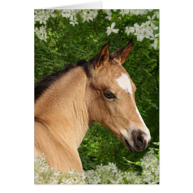 Cartão Cavalos Fantásticos: Flores (Frente)