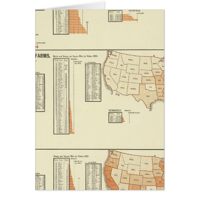Cartão Cavalos, mula, asinina, ovelha (Frente)
