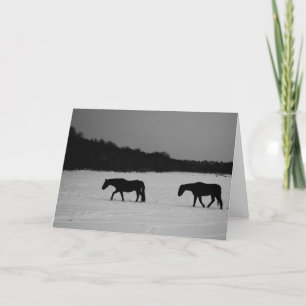 Cartão Cavalos na gcna da neve