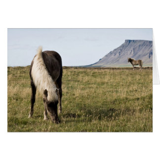 Cartão Cavalos no Baleia-fiorde