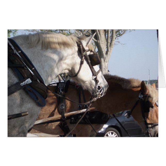 Cartão Cavalos no chicote de fios (Frente Horizontal)