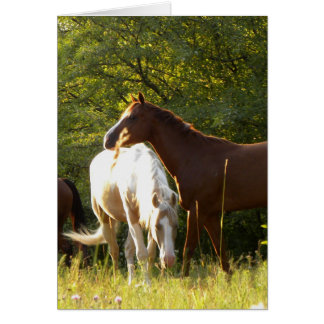 Cartão Cavalos no Prado