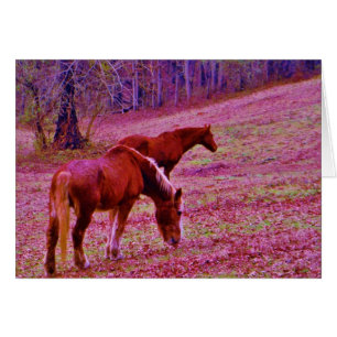 Cartão Cavalos num campo roxo de lavanda rosa,