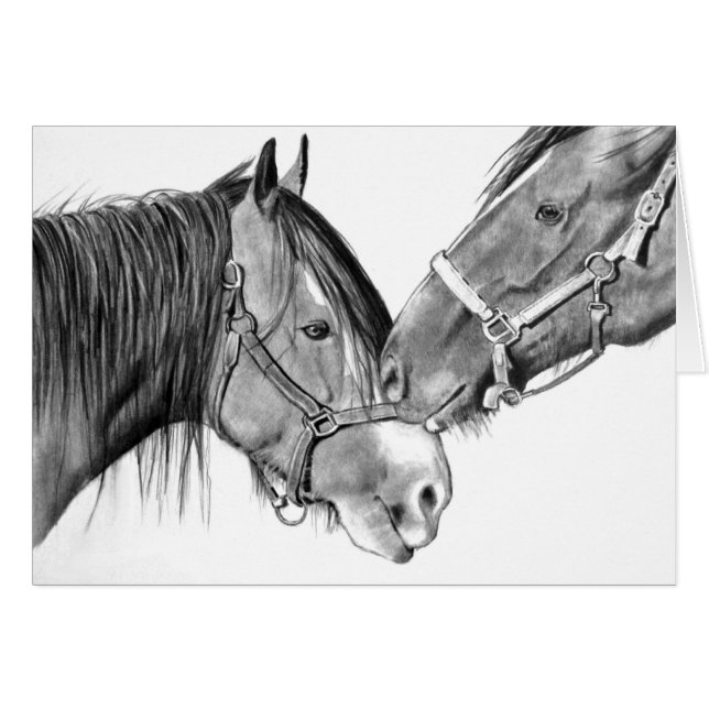 Cartão Cavalos que Nuzzling: Desenho de lápis original (Frente Horizontal)