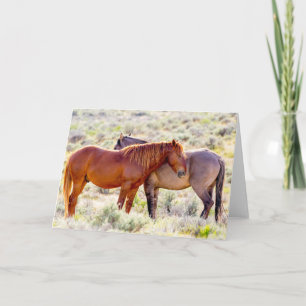 Cartão Cavalos Selvagens