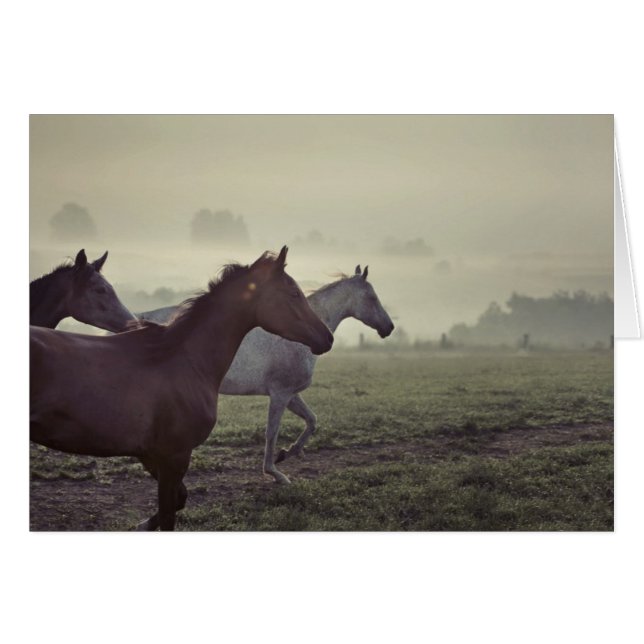 Cartão Cavalos selvagens (Frente Horizontal)