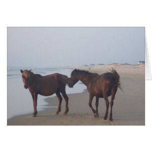 Cartão Cavalos selvagens da praia de Carova