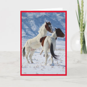 CARTÃO CAVALOS SELVAGENS DE UTAH PINTO GREETING CARD