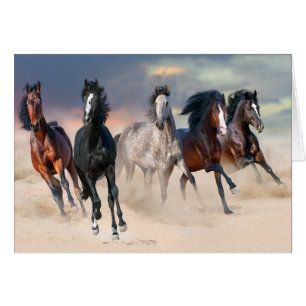 Cartão Cavalos selvagens que funcionam livre