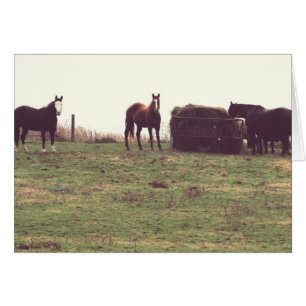 Cartão Cavalos Vintage