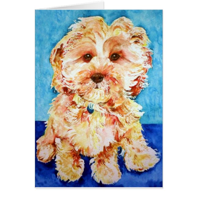 Cartão Cavapoo "Ollie". (Frente)