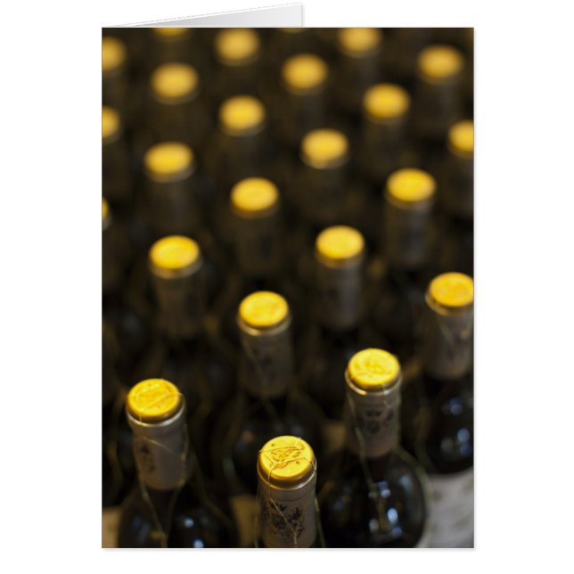 Cartão Cave de Bodega Marques de Riscal, bouteilles de vi (Frente)