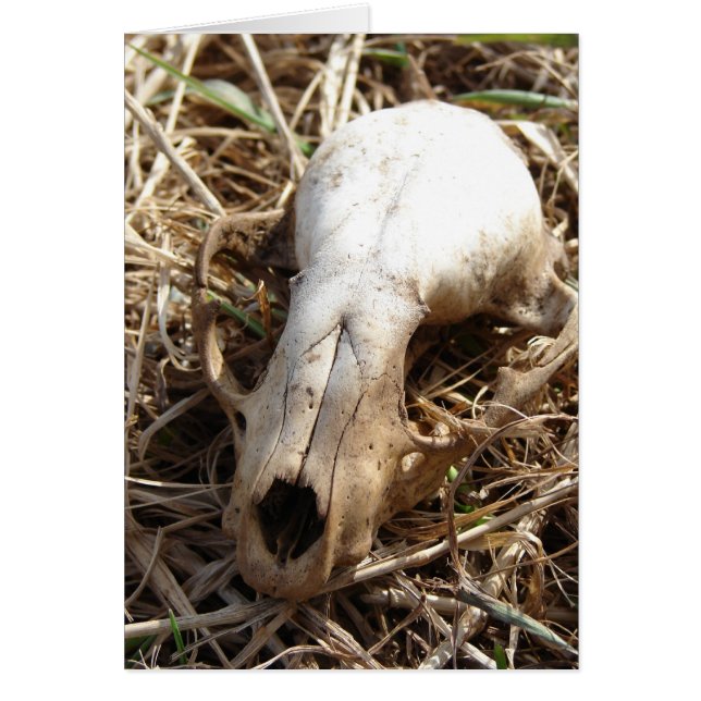 Cartão Caveira (Frente)