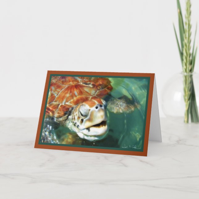 Cartão Cayman Turtle (Frente)