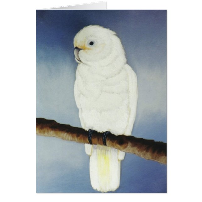 Cartão "Ceaser " (Frente)