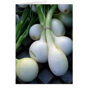 Cartão Cebolas no mercado do agricultor