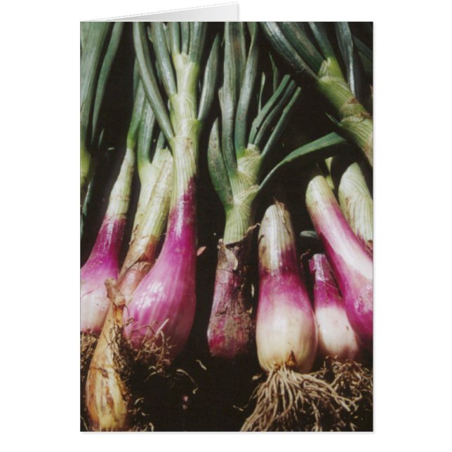 Cartão Cebolas vermelhas no mercado dos agricultores Cart (Frente)