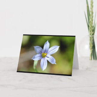 CARTÃO CEDA - FLOWER - BLANK CARD