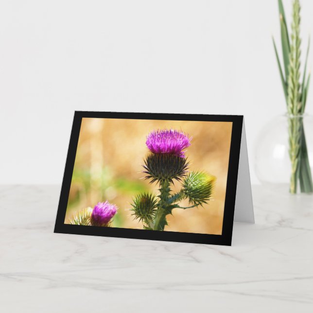 CARTÃO CEDA - IDAHO THISSLE - BLANK CARD (Frente)