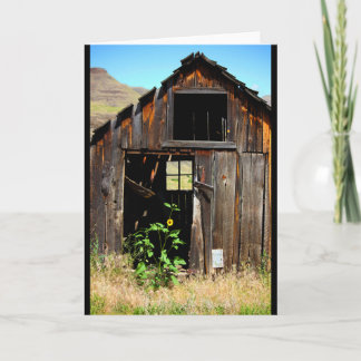 CARTÃO CEDA - SHED - BLANK CARD