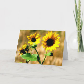 CARTÃO CEDA - SUNFLOWER - BLANK CARD