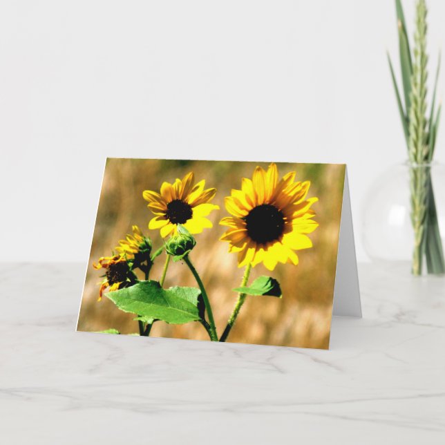 CARTÃO CEDA - SUNFLOWER - BLANK CARD (Frente)