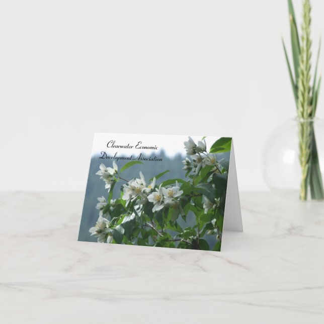 Cartão CEDA - Syringa (Frente)