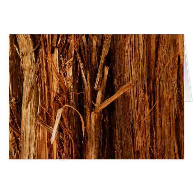 Cartão Cedar Textura de Latido de Madeira (Frente horizontal)