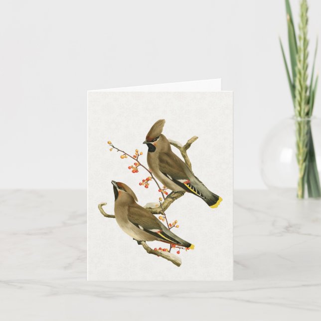 Cartão Cedar Waxwing Bird Holiday Nature Snowflake (Frente)