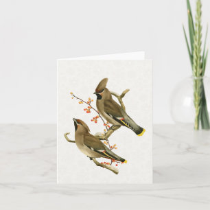 Cartão Cedar Waxwing Bird Holiday Nature Snowflake