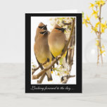 Cartão Cedar Waxwing Birds Get Well Card<br><div class="desc">Such beautiful birds to bring get well greetings to friends or family! Our "Cedar Waxwing Birds Get Well Card" is bound to help a body feel at least a little better. With their charming masks and butter yellow feathers, this photo of Cedar Waxwings makes a gorgeous card. The inside and...</div>