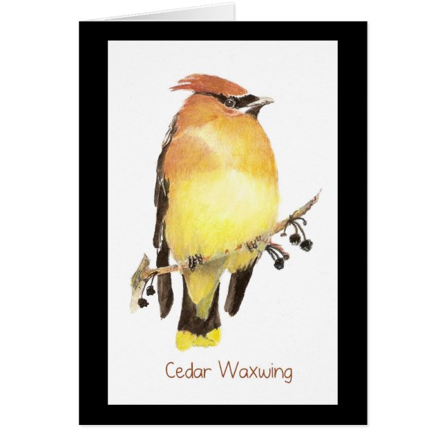 Cartão Cedar Waxwing, Watercolor Bird (Frente)