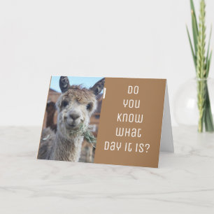 CARTÃO ***CELEBRAÇÃO DO DIA DE OS NAMORADOS EUA***