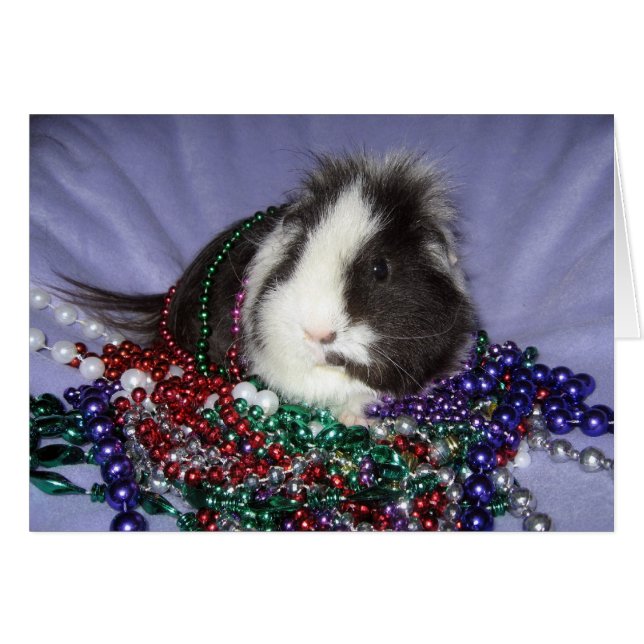 Cartão Celebração (vinda a meu partido) (Frente Horizontal)