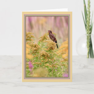 Cartão Celebrar aves de capoeira: Pássaro preto-de-asa-ve