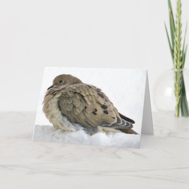 Cartão Celebrar o Cristo com a Paz de Natal e as Bênçãos (Frente)