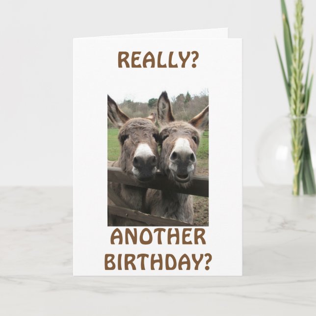 CARTÃO CELEBRATE BIRTHDAY TO GET ATTENTION ASKS MULES? (Frente)